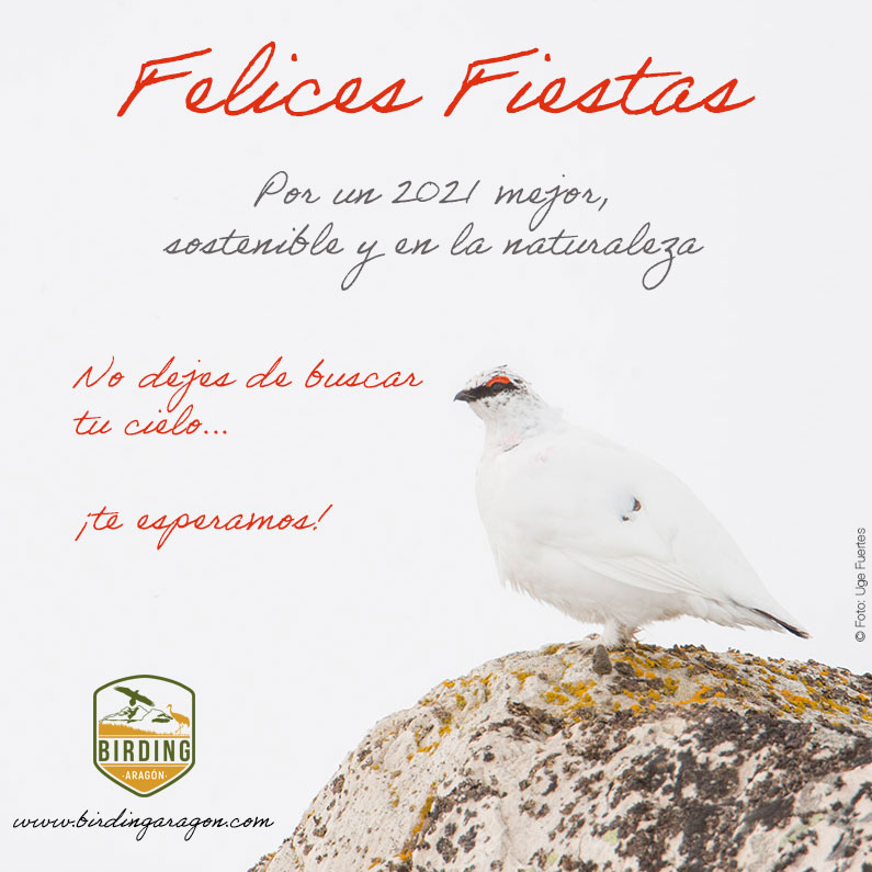 Felices Fiestas a todos desde Birding Aragón Por un 2021 mejor, sostenible y en la naturaleza. No dejes de buscar tu cielo.... te esperamos!! 