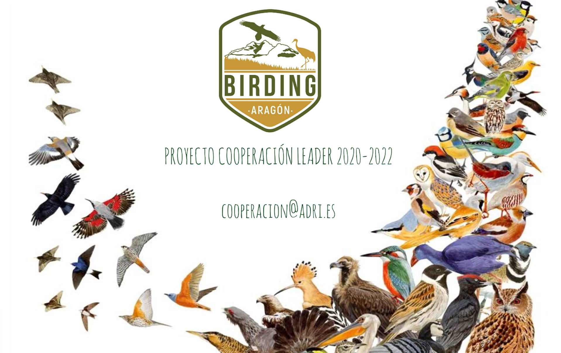 Calendario de presentaciones Birding Aragón