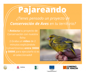 Birding Aragón lanza dos convocatorias para presentar Proyectos Piloto que trabajen en la Conservación de Aves, “Pajareando”, y Educación Ambiental, “Ciento Volando”, para acciones relacionadas con la Ornitología.