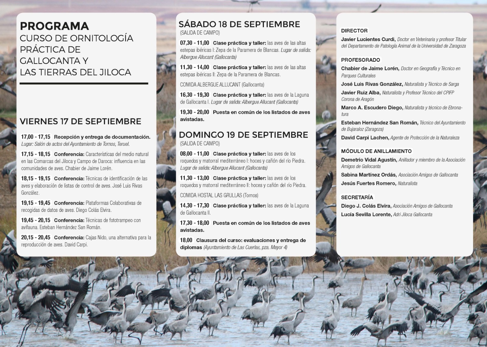 XI Curso de Ornitología práctica de Gallocanta y las Tierras del Jiloca