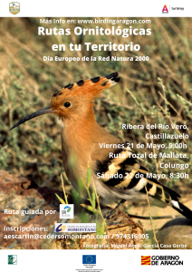 Birding Aragón comienza sus eventos ornitológicos en el Somontano