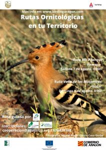 7 de Agosto. Ruta ornitológica en el Río Pitarque (Villarluengo, Maestrazgo) 8 de Agosto. Ruta ornitológica en el Valle de las Motorritas de Gúdar (Gúdar-Javalambre).