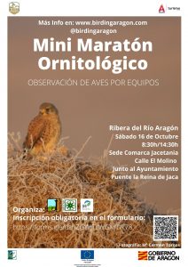 Mini maratón ornitológico con observación de aves por equipos