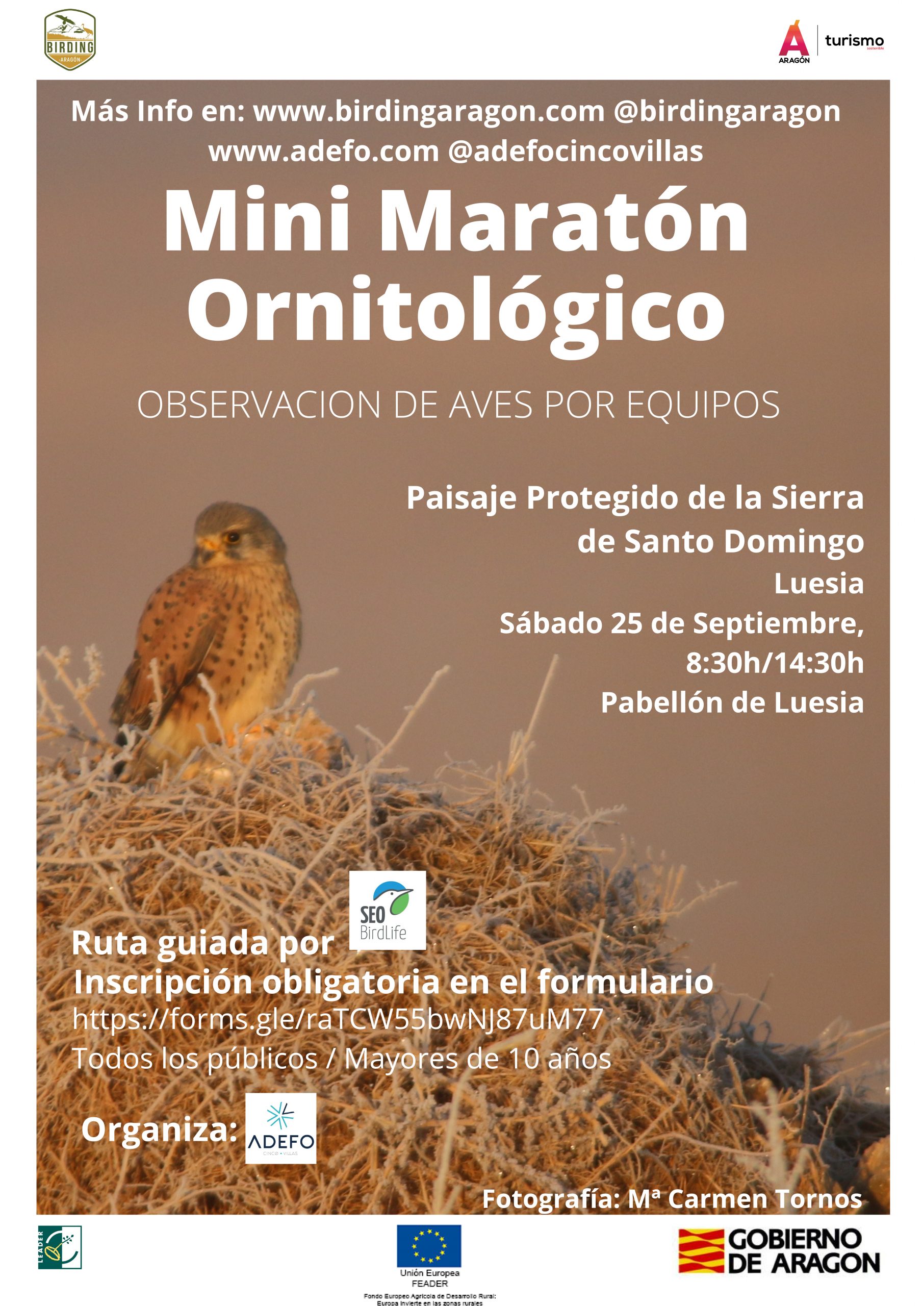 Mini maratón ornitológico de Birding Aragón en Luesia