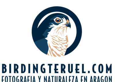 BirdingTeruel