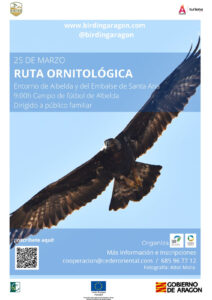 Cita con la ornitología en marzo para disfrutar con la observación de aves e interpretación del paisaje en un evento gratuito de Birding Aragón, organizado en el territorio CEDER ORIENTAL a través de SEO BirdLife.