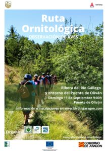 Ruta Ornitológica por la ribera del río Gállego y el entorno del Puente de Oliván