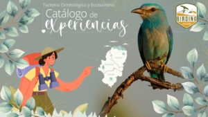 Catálogo de experiencias Birding Aragón