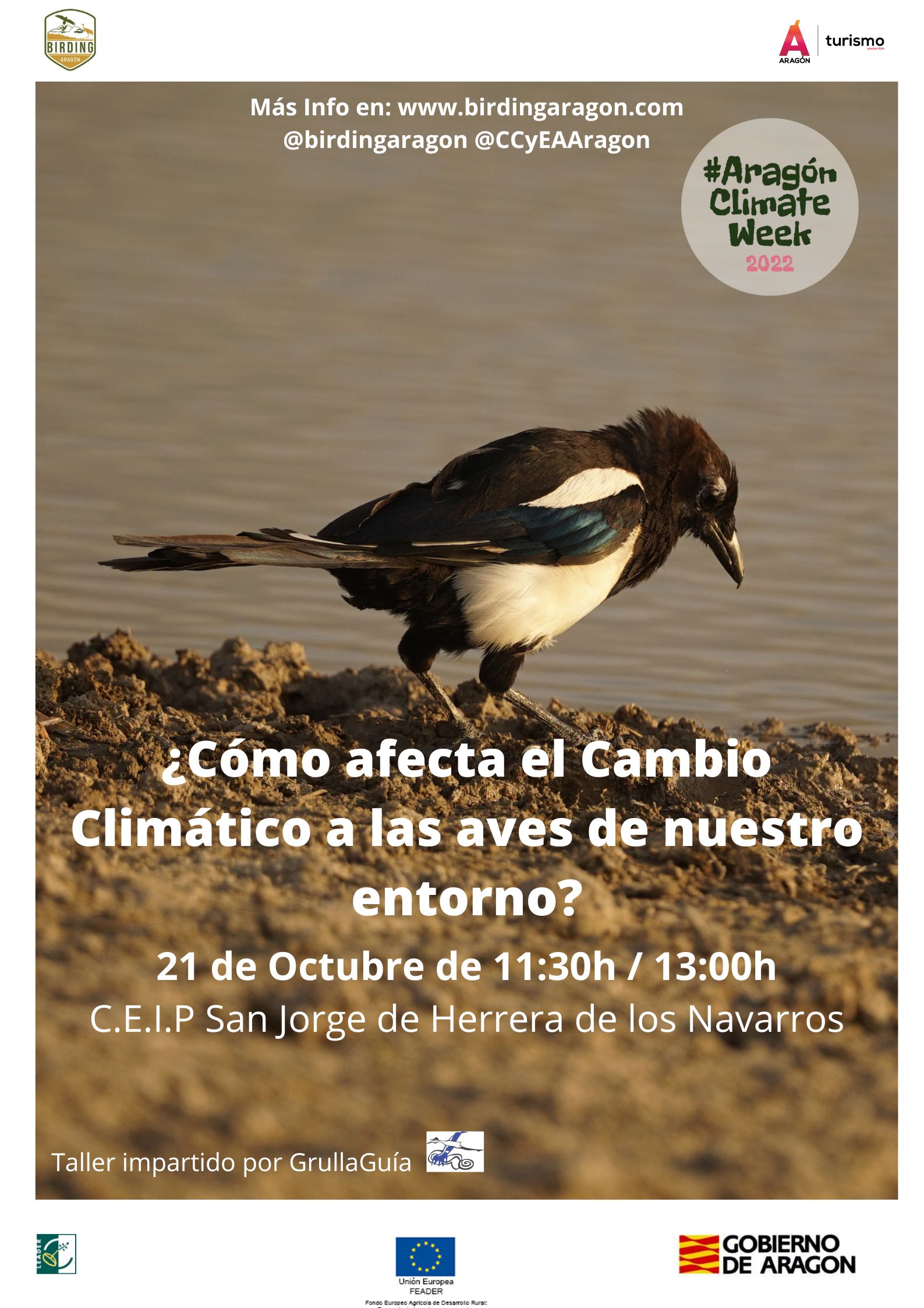 Birding Aragón participa en la II Aragon Climate Week
