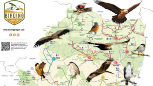 Publicaciones Birding en Aragón