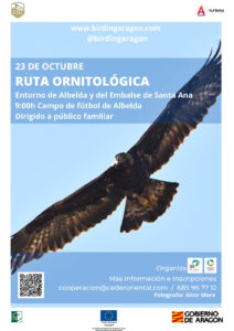Ruta para descubrir las aves de La Litera con Birding Aragón