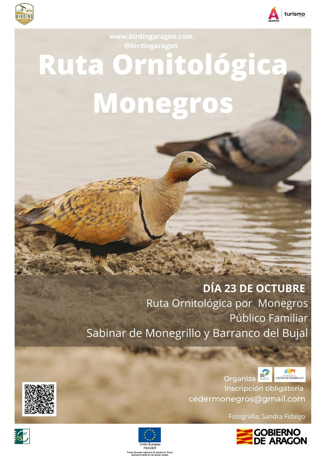 Actividad familiar de observación de aves e interpretación del paisaje en Monegros