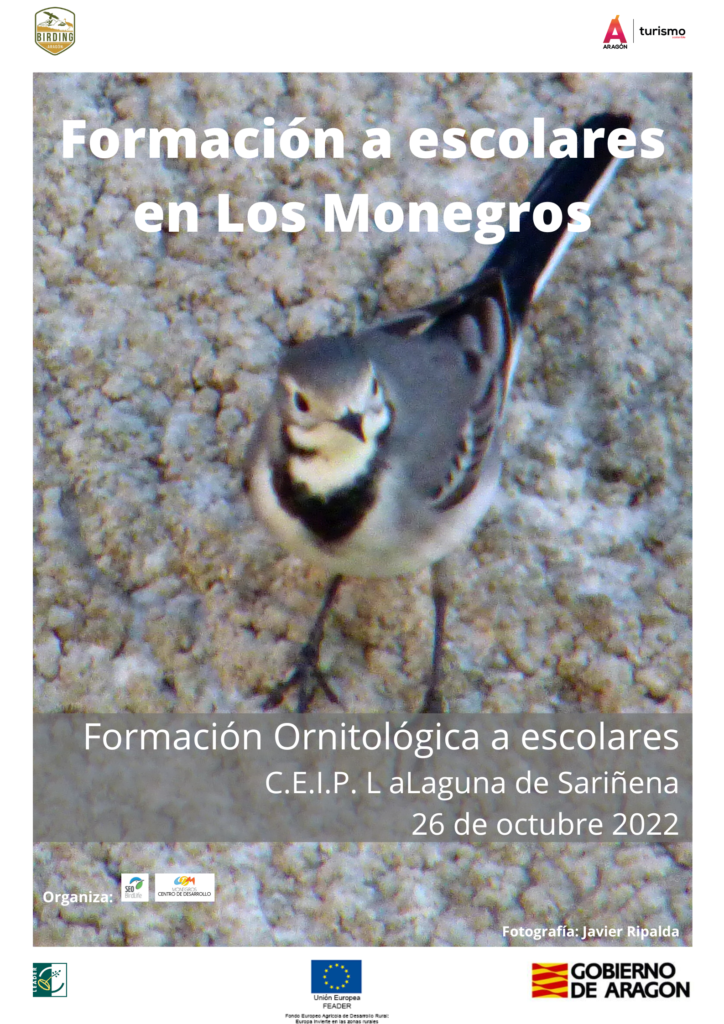 El próximo miércoles, 26 de octubre, continuarán las formaciones Birding Aragón para escolares en Los Monegros con la actividad «Conocer las aves de tu entorno» en la cerca de 60 escolares podrán disfrutar de un taller sobre la ornitología y diversidad de su territorio. 