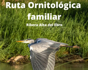 Dos rutas ornitológicas familiares para descubrir la Ribera Alta del Ebro