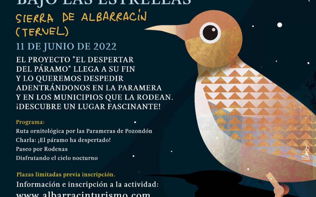 «Siente la paramera bajo las estrellas», un evento para descubrir la nueva ruta ornitológica en las parameras de Pozondón