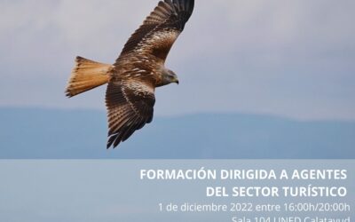 Taller Producto Turístico Ornitológico en Comunidad de Calatayud y Aranda