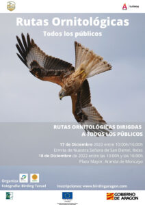 Rutas ornitológicas en las comarcas de Aranda y de Calatayud