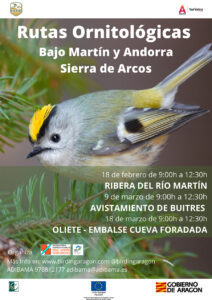 Tres nuevas propuestas dirigidas a todos los públicos organizadas por las comarcas de Bajo Martín y Andorra-Sierra de Arcos, SEO/Birdlife Aragón y ADIBAMA, dentro del proyecto de cooperación LEADER Birding Aragón. Este proyecto trabaja para difundir e impulsar la biodiversidad ornitológica de la comunidad y un turismo respetuoso con el Medio Ambiente.