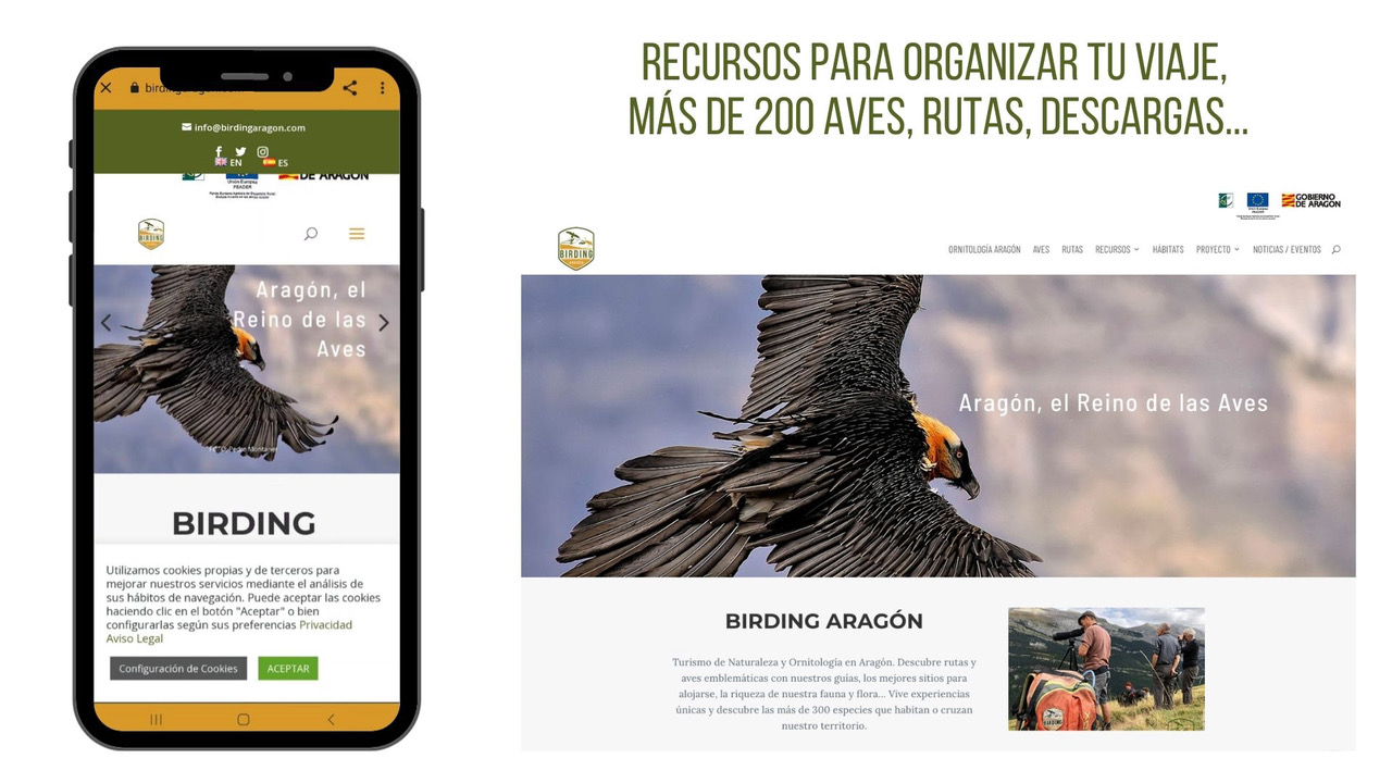 Web/app BIRDING ARAGÓN</p>
<p>Con extensa información de interés para los aficionados y visitantes y que incluye rutas, publicaciones, fichas de más de 220 aves que pueden avistarse en Aragón, hides y miradores, actualidad y toda la información para la organización del viaje (agencias, alojamientos, empresas, guías…), entre otros contenidos.