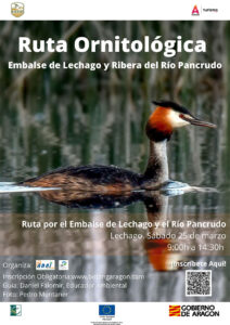 Ruta ornitológica por el embalse de Lechago y Ribera del Río Pancrudo