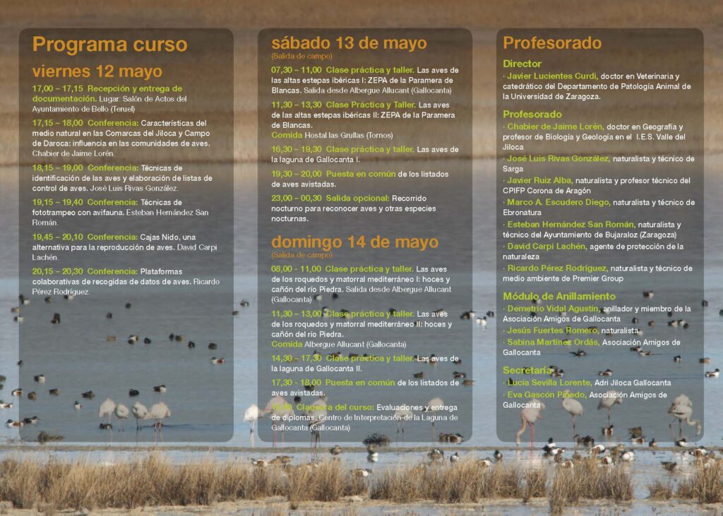XIII Curso de Ornitología práctica de las tierras del Jiloca y Gallocanta
