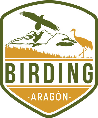 Birding Aragón. APATOE – Asociación de Profesionales Aragoneses del Turismo Ornitológico y Ecoturismo