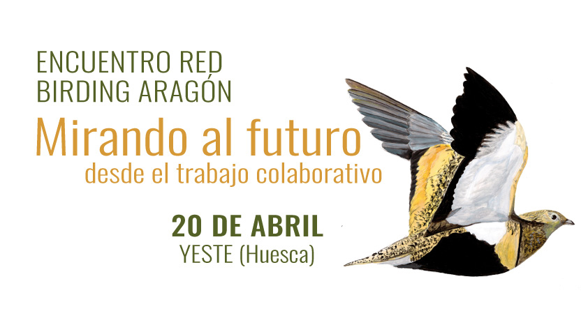 Encuentro Red Birding Aragón: Mirando al Futuro desde el trabajo colaborativo