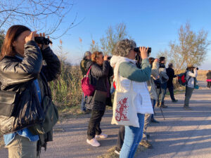 Birding Aragón ha organizado un evento de intercambio de experiencias y generación de alianzas que se ha desarrollado estos días en Valencia y ha contado con la participación de diversos actores de Aragón y Valencia que trabajan para detectar y potenciar las oportunidades y posibilidades en torno al turismo ornitológico.