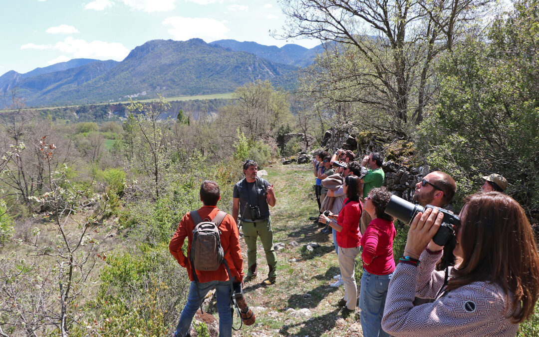 Birding Aragón, trabajando por la ornitología, la conservación y la sostenibilidad