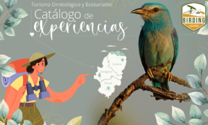Catálogo de Experiencias Birding Aragón