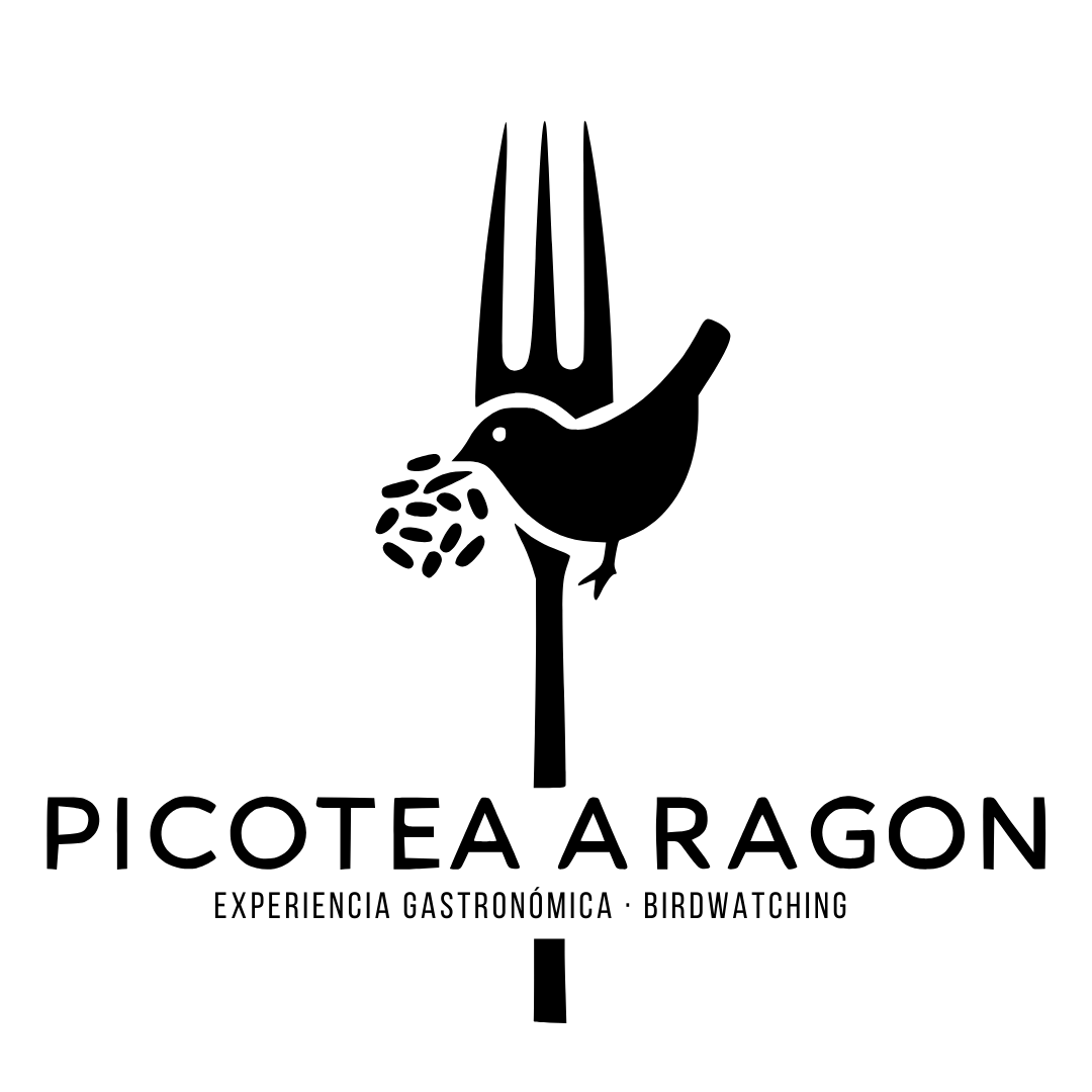 PICOTEA ARAGÓN 