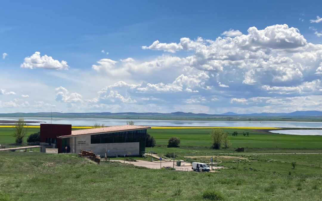 Birding Aragón organiza sus primeras Jornadas de Ecoturismo en Gallocanta