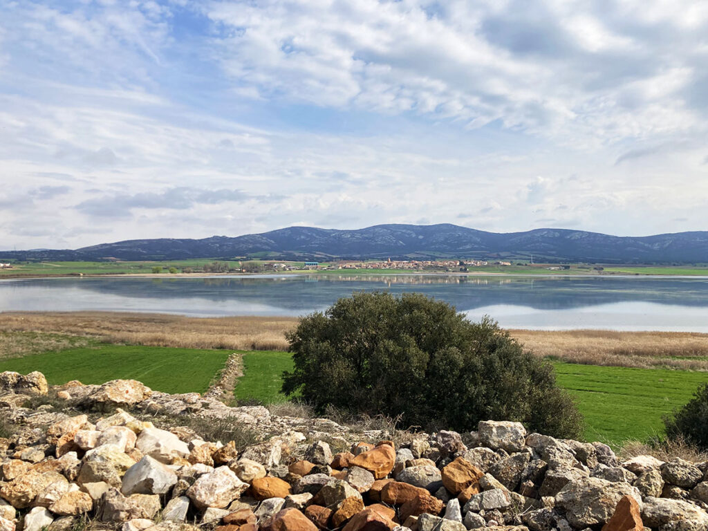 Birding Aragón organiza sus primeras Jornadas de Ecoturismo en Gallocanta