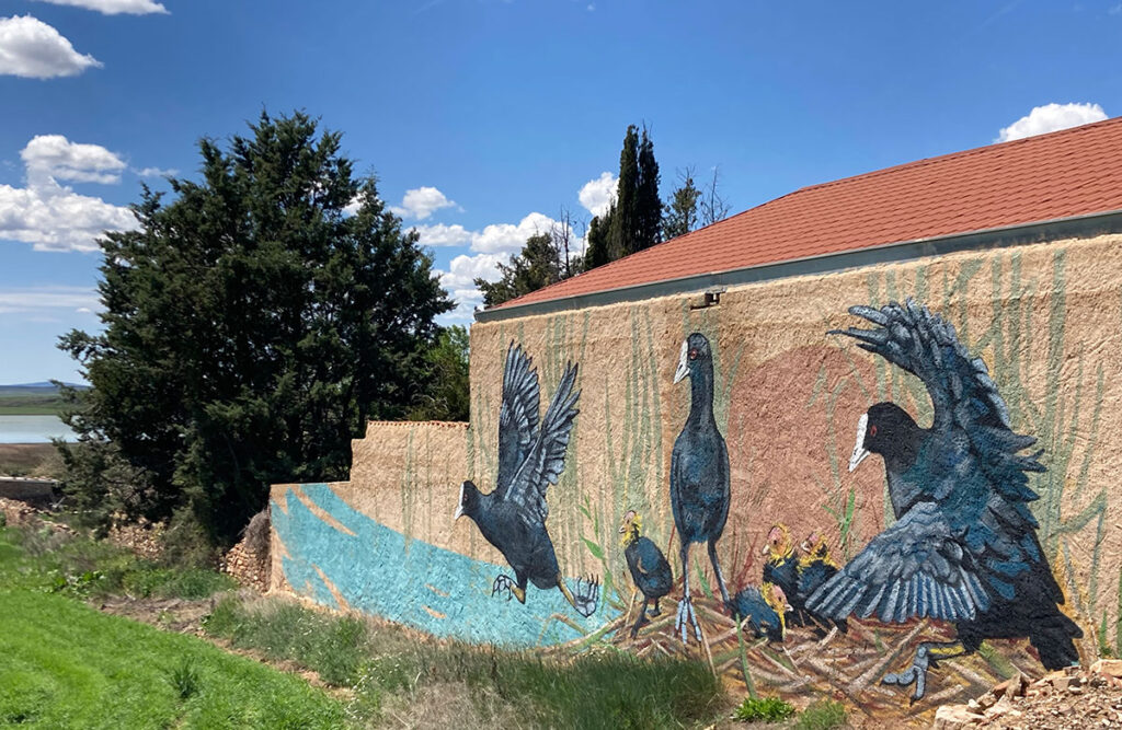 La mañana del sábado 24 comenzará con una “CicloRutainterpretativa”, conducida por el guía turístico Gonzalo Peña, en la que se recorrerán los murales dedicados a las aves de Gallocanta y Berrueco, con interpretación del paisaje y avistamiento de aves.
