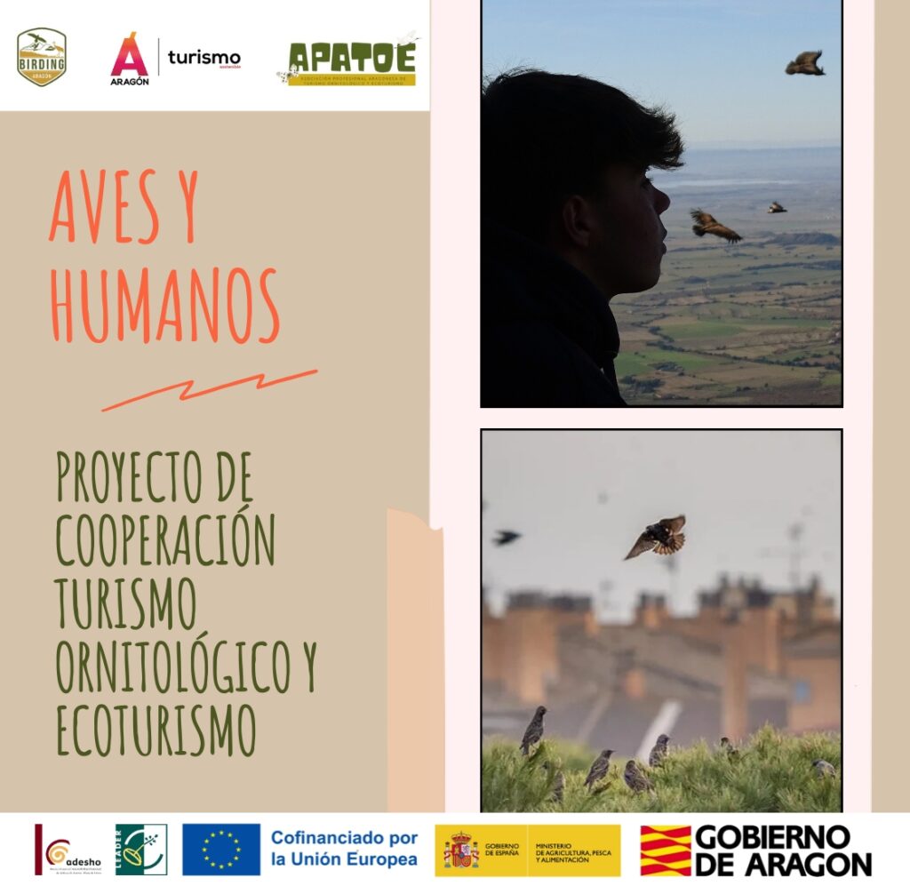 La Comarca de la Hoya de Huesca acoge ya las primeras actividades del programa “Aves y Humanos”, una propuesta impulsada por ADESHO en el marco del proyecto Birding Aragón. 