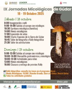 El municipio de Gúdar (Teruel) acogerá una nueva edición de sus Jornadas Medioambientales Micológicas, un encuentro que combina ciencia, naturaleza y convivencia en torno al mundo de las setas.