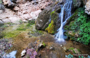 "Birding Aragón" y ADRI Comarca de Teruel nos proponen una experiencia única de ecoturismo, ornitología y ruta guiada por los Amanaderos de Riodeva.
