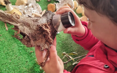 Naturaleza, ciencia y ecoturismo se dan cita en las IX Jornadas Medioambientales Micológicas de Gúdar