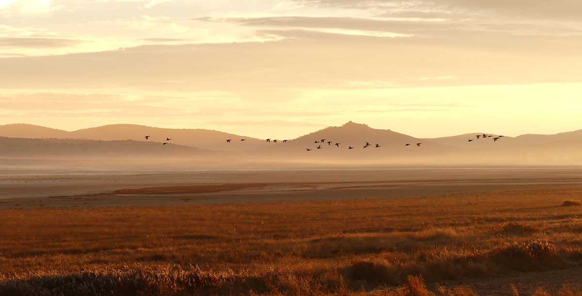 Laguna de Gallocanta