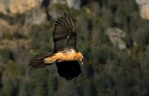 dysgea Viajes y Paisajes