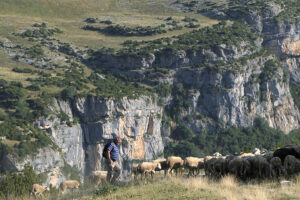 Odysgea Viajes y Paisajes