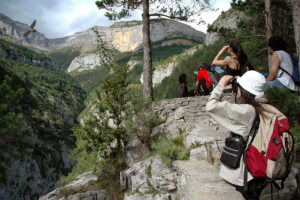 Odysgea Viajes y Paisajes