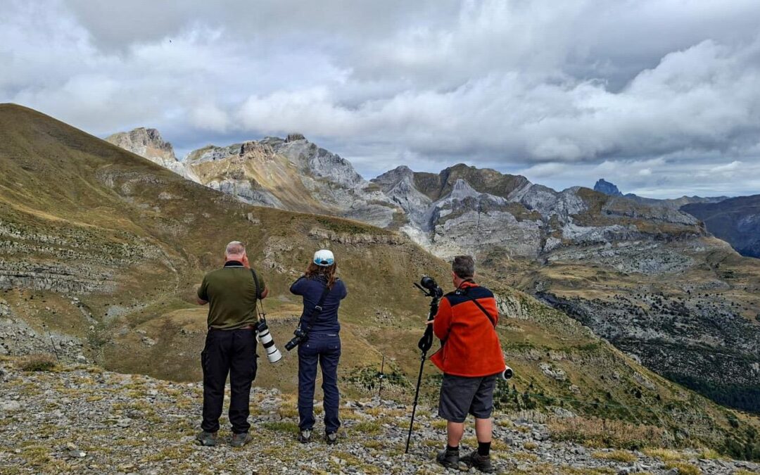 Birding Aragón, presente en FITUR como referente en turismo ornitológico y ecoturismo