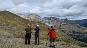 Birding Aragón participará un año más en la Feria Internacional de Turismo (FITUR), que se celebrará del 21 al 25 de enero en IFEMA Madrid, reforzando su relevancia como proyecto de referencia en turismo ornitológico y ecoturismo en Aragón.
