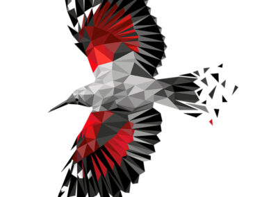 Mariapinta – Yerbajo