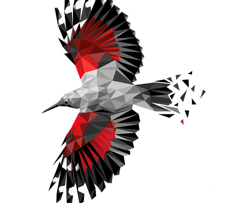 Mariapinta – Yerbajo