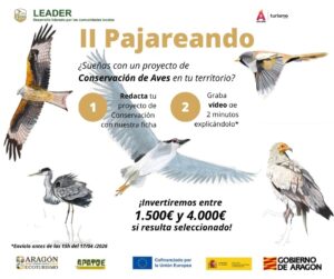 La convocatoria 2026 del Proyecto Piloto “Pajareando” de Birding Aragón se abre el 3 de marzo, Día Mundial de la Vida Silvestre, para impulsar nuevas iniciativas de conservación en Aragón