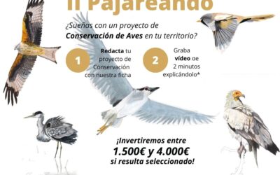 Birding Aragón moviliza al territorio rural para conservar sus aves