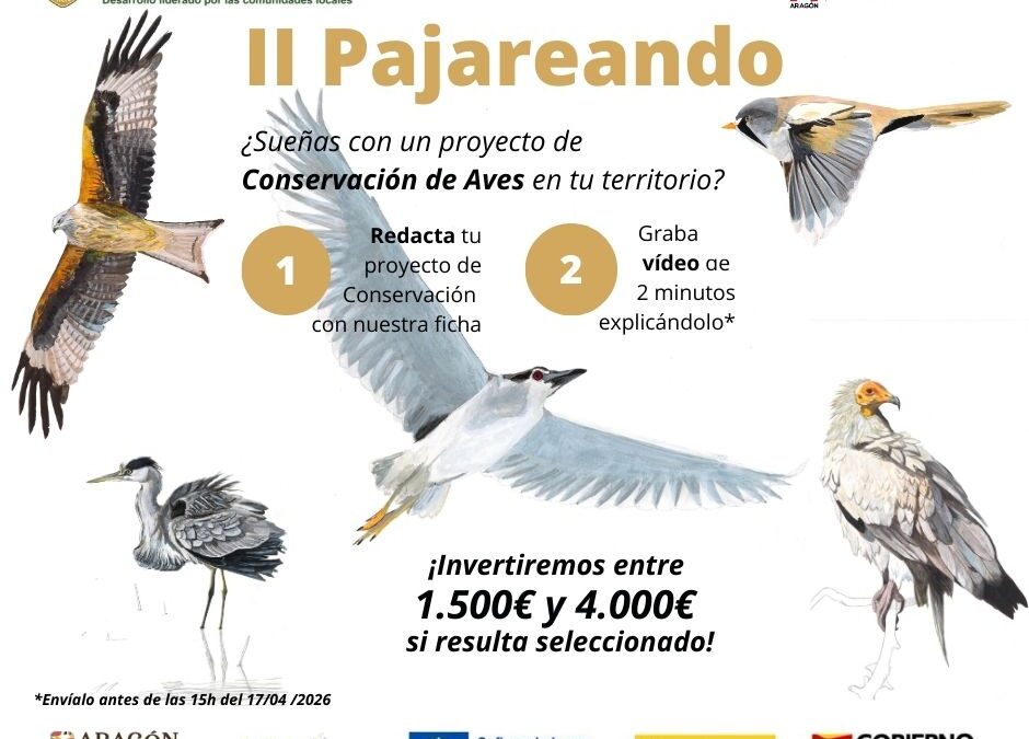 Birding Aragón moviliza al territorio rural para conservar sus aves