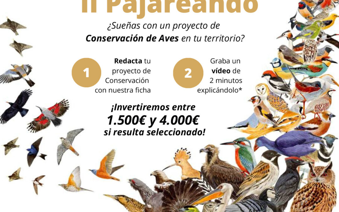 Birding Aragón moviliza al territorio rural para conservar sus aves